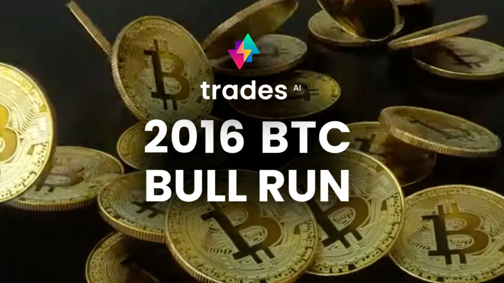 2016 BTC Bull Run